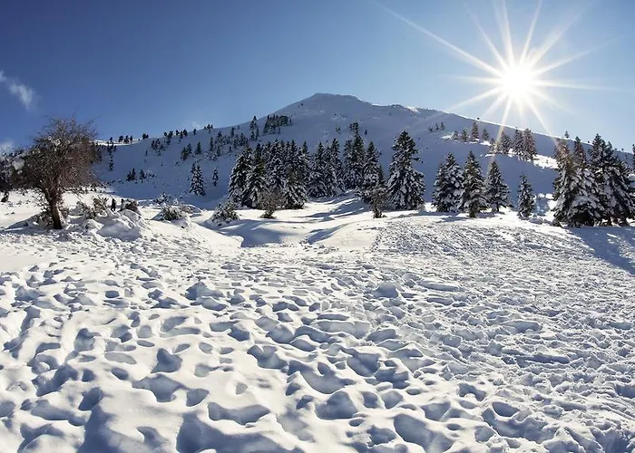 Chrysa 칼라브리타